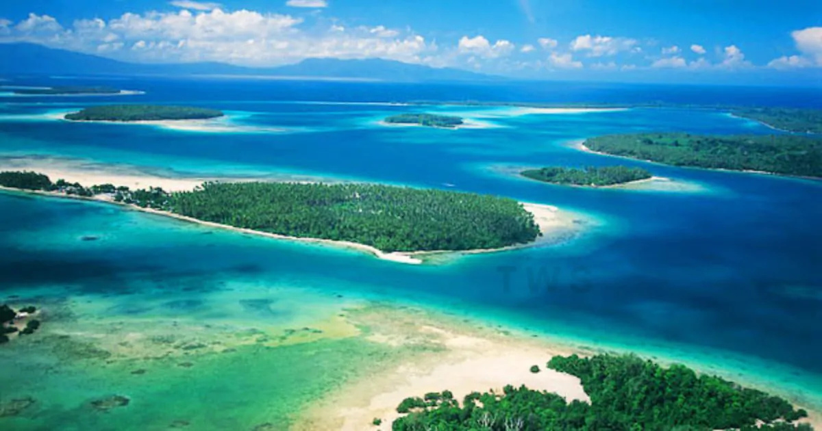 Trips to Solomon Islands